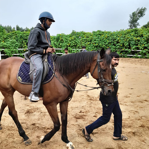Experience horse riding
